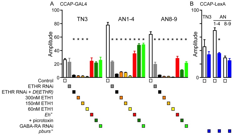 Figure 3—figure supplement 1.