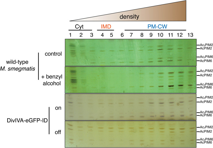 Figure 3—figure supplement 3.