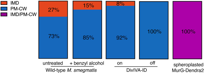 Figure 3—figure supplement 1.