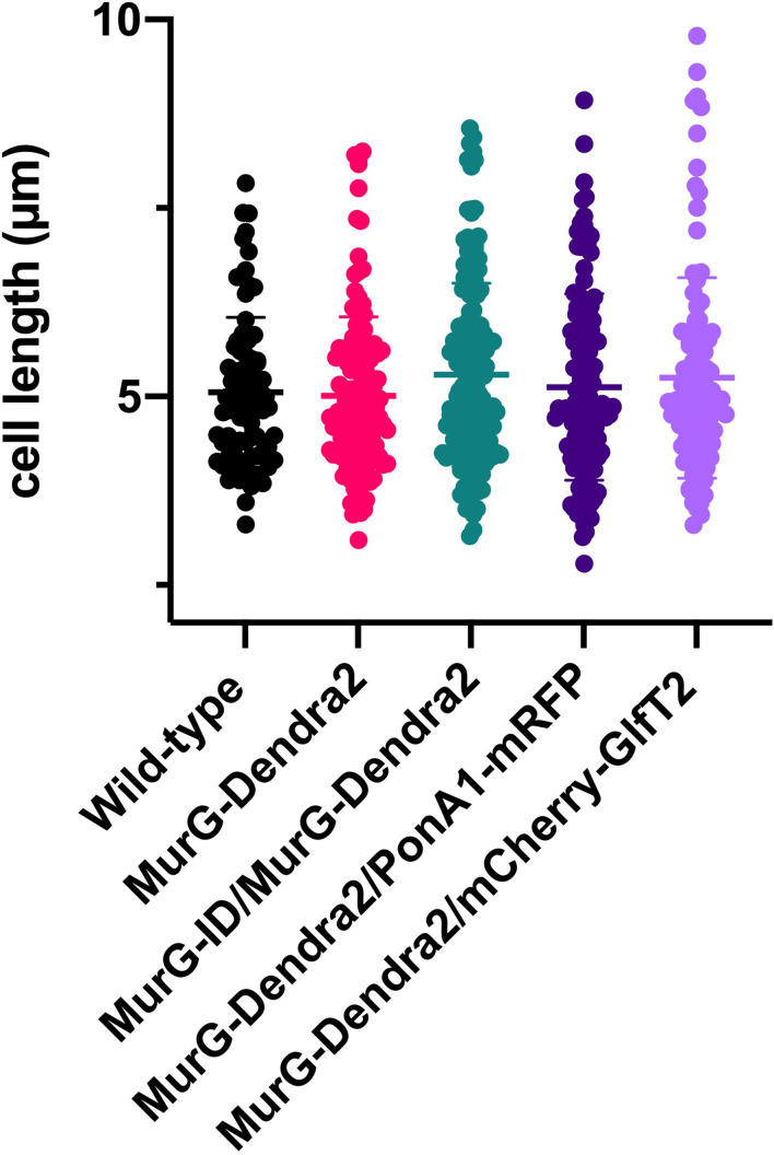 Figure 1—figure supplement 2.