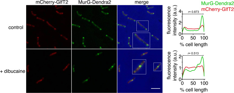 Figure 3—figure supplement 7.