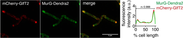 Figure 1—figure supplement 5.