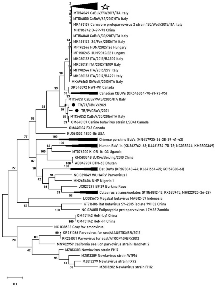 Fig. 2