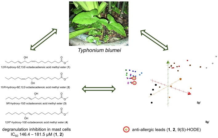 Graphical Abstract