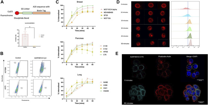 FIGURE 2