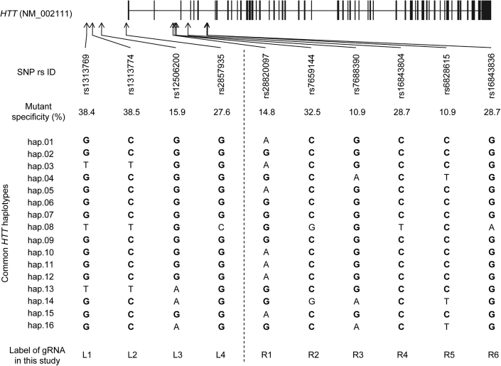 Figure 1