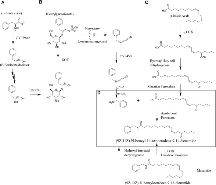 FIGURE 3