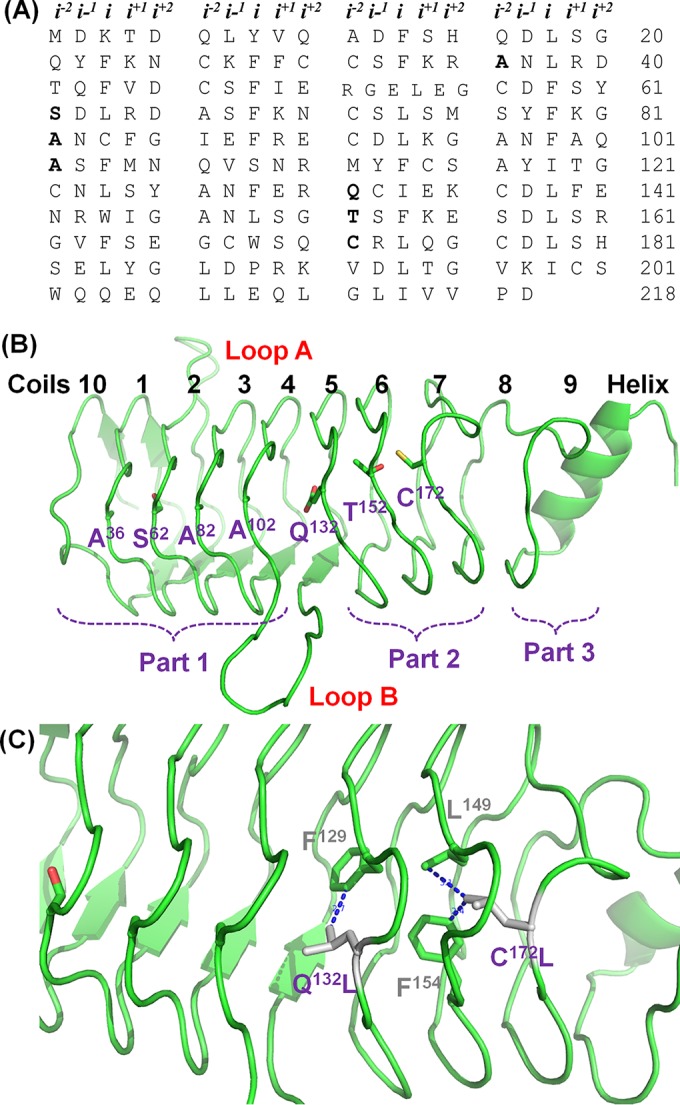 FIG 1