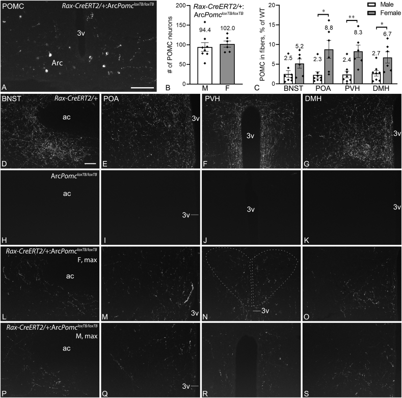 Figure 4