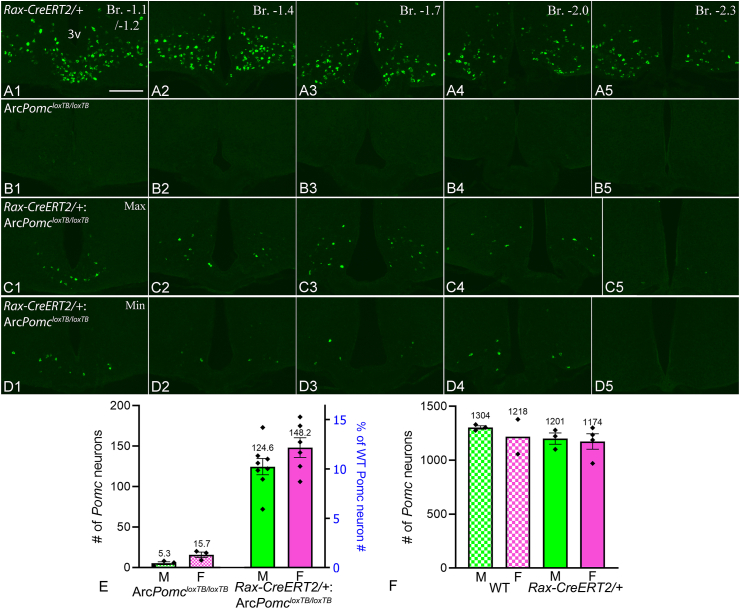 Figure 3