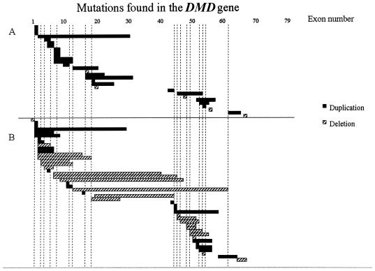 Figure  5