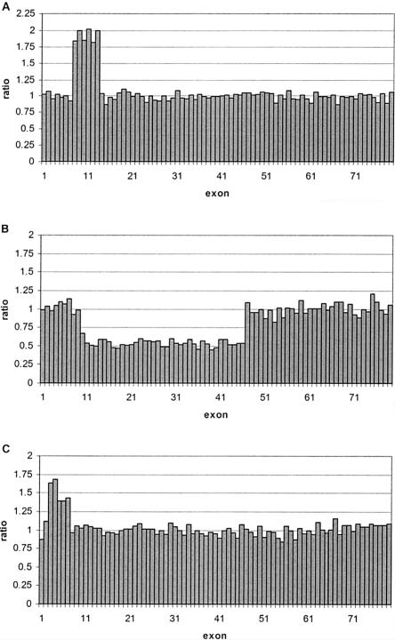 Figure  4