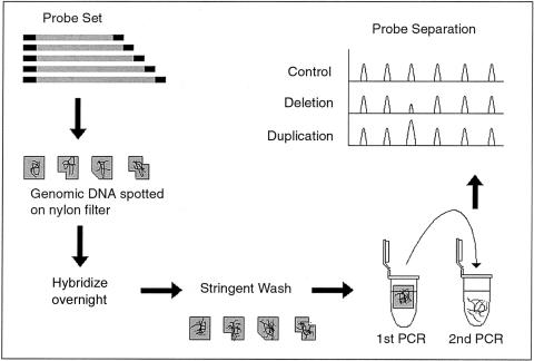 Figure  1