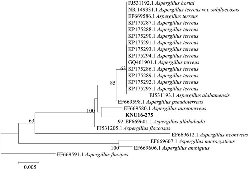 Figure 5.