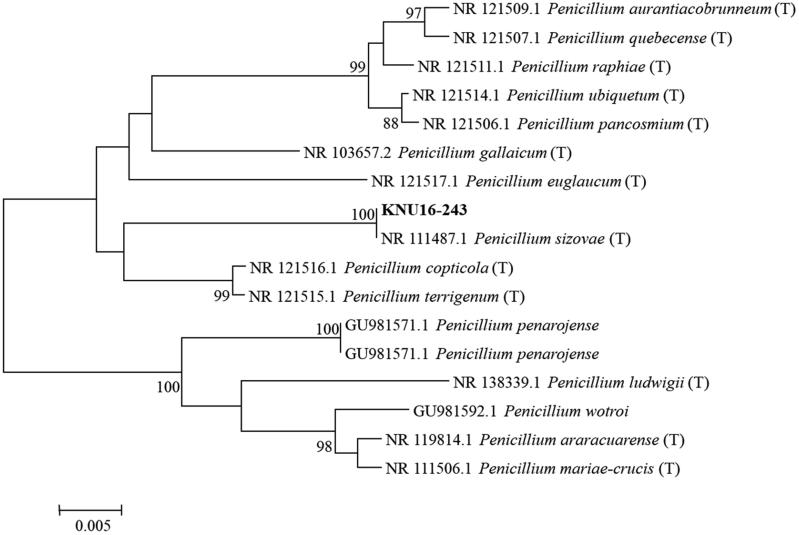 Figure 7.