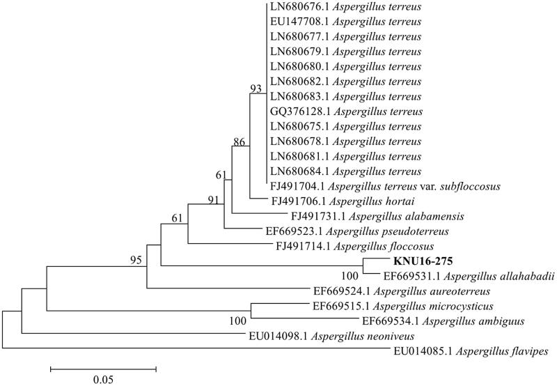 Figure 6.