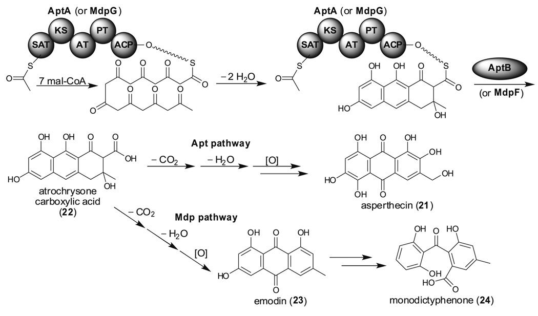 Fig. 6