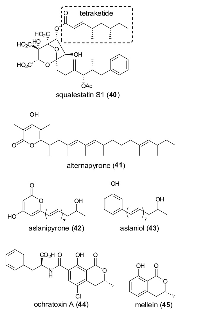 Fig. 11