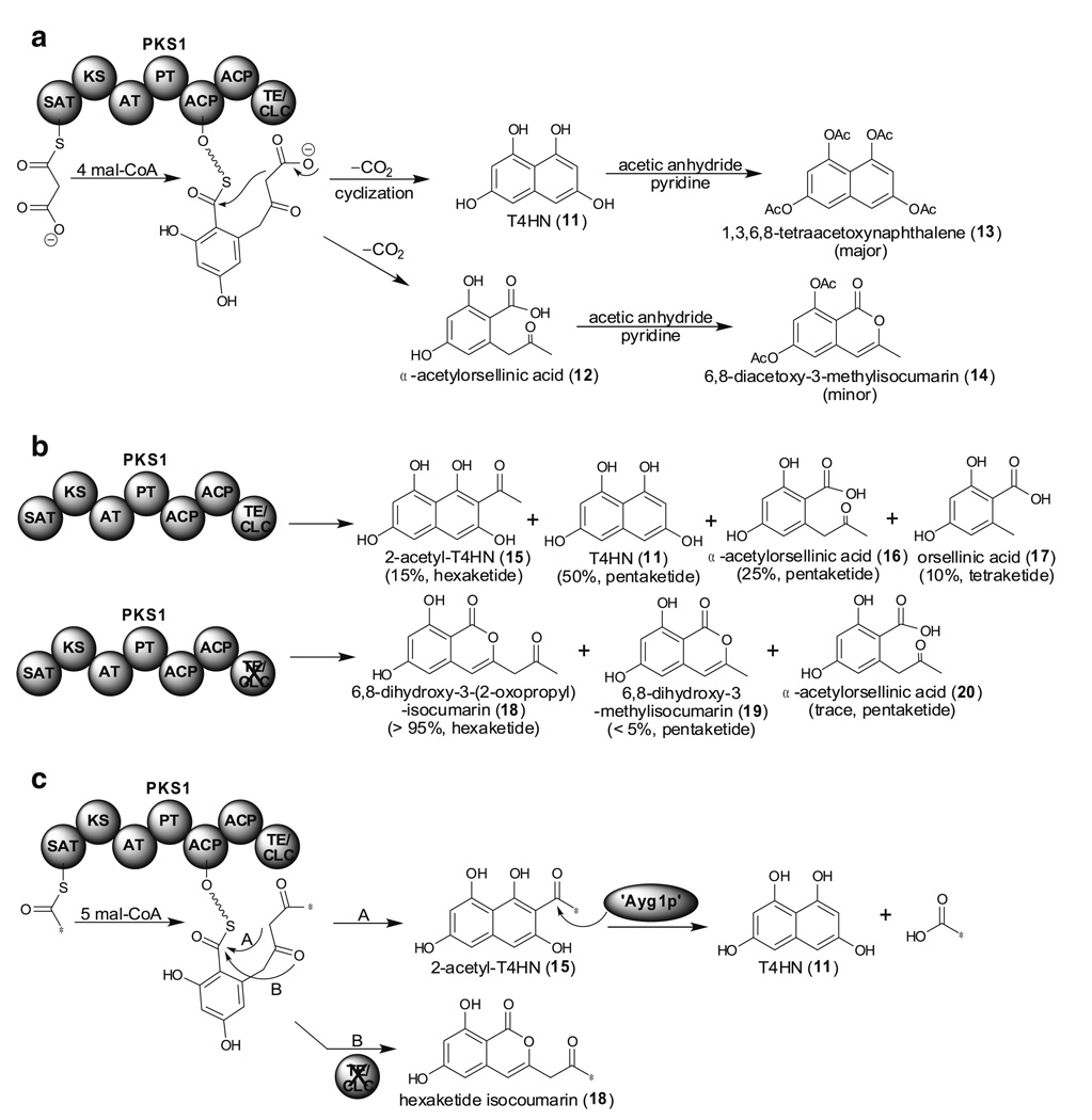 Fig. 5