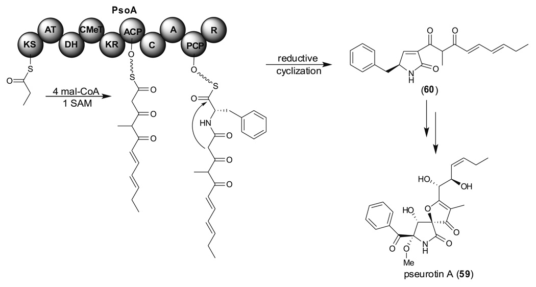 Fig. 14