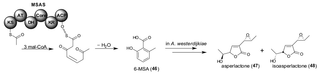 Fig. 12