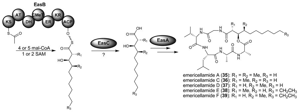 Fig. 10