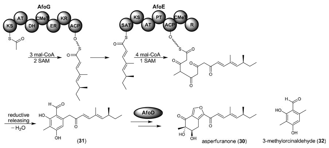 Fig. 8