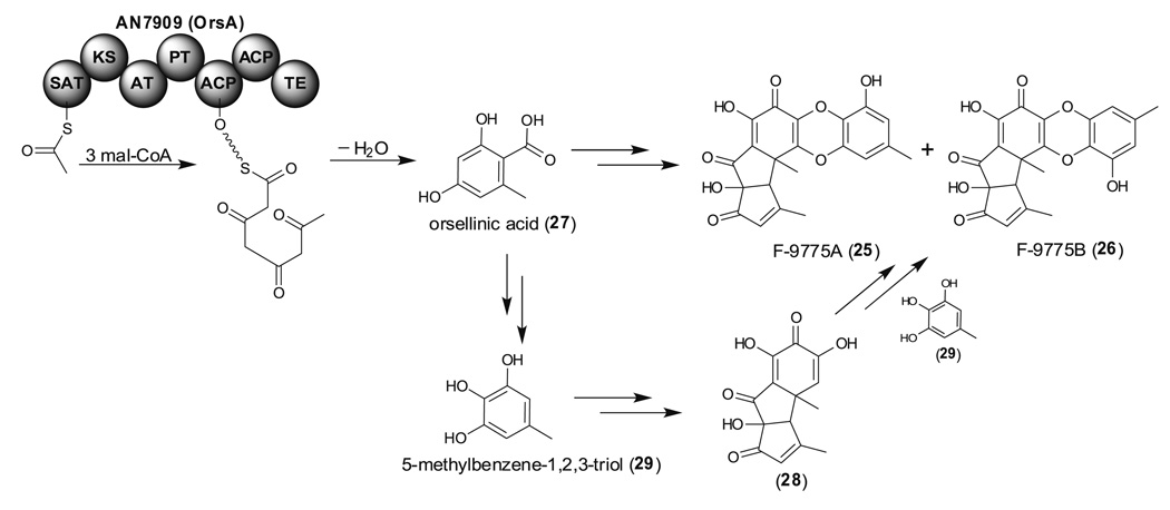 Fig. 7