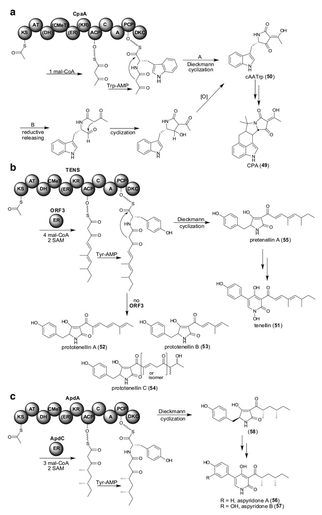 Fig. 13