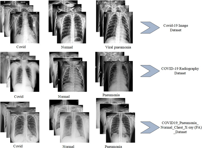 FIGURE 2