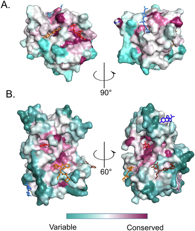 Figure 4.