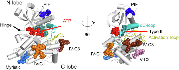 Figure 3.