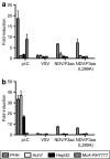 <b>Figure 2</b>