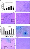 <b>Figure 5</b>