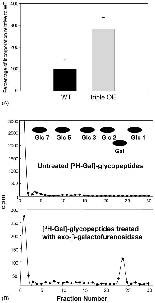 Fig. 10