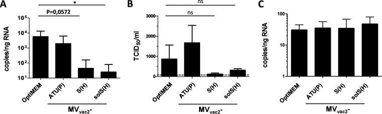 FIG 6