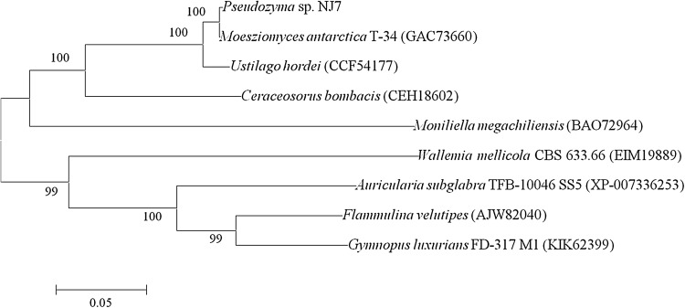 Fig. 5