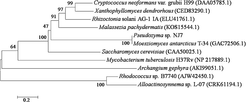 Fig. 7