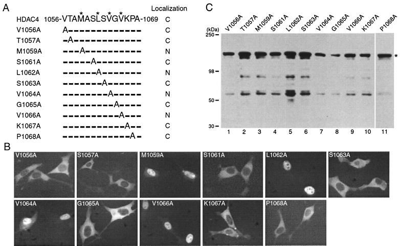 FIG. 7