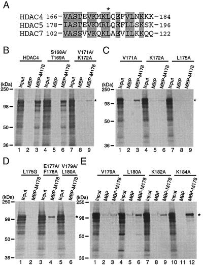 FIG. 10