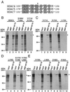 FIG. 10