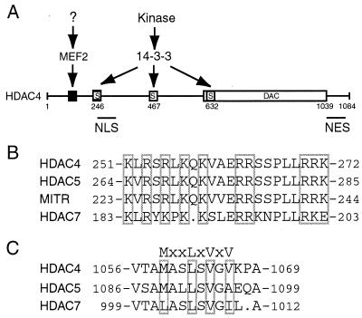 FIG. 11