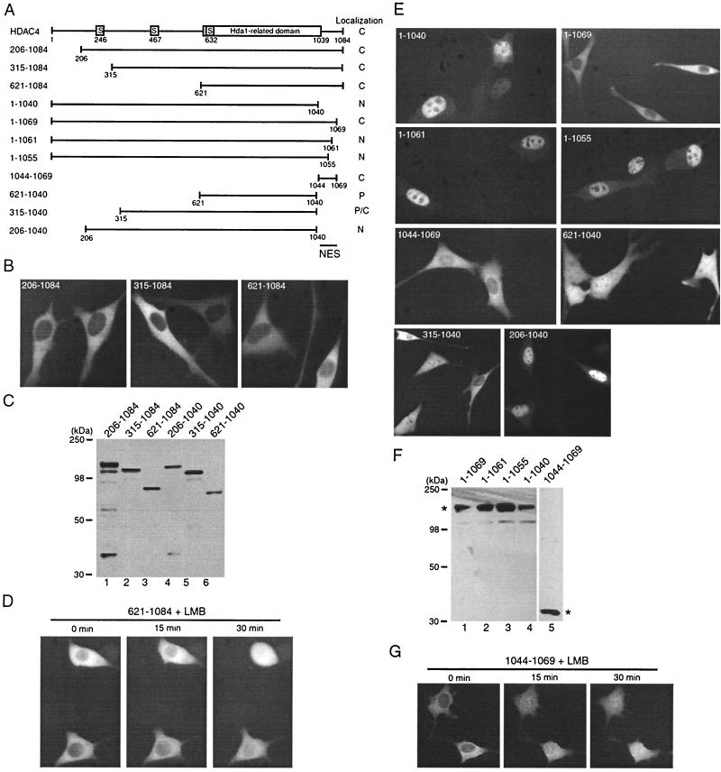 FIG. 6