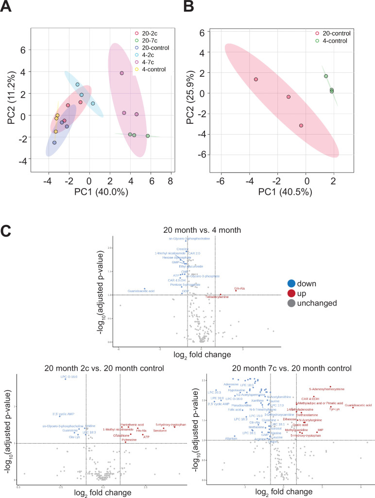 Figure 6—figure supplement 1.