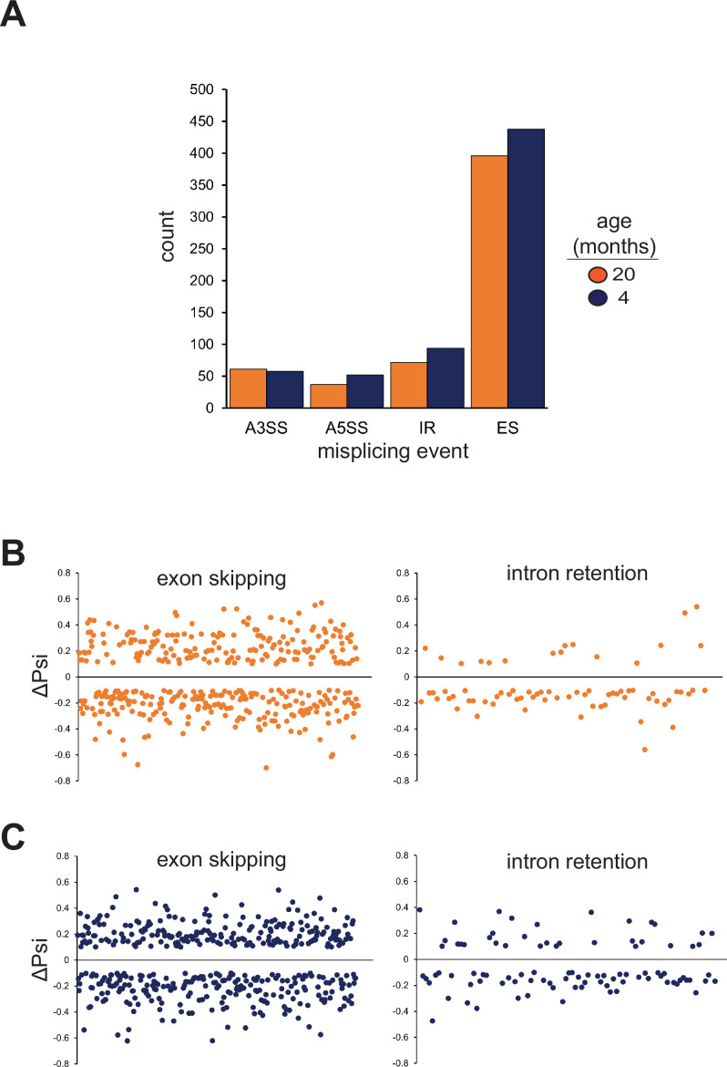 Figure 2—figure supplement 2.