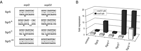 Fig. 6.