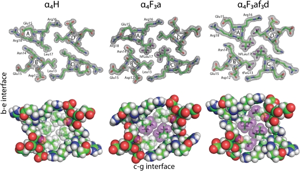 Fig. 2.