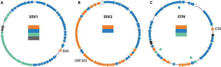 FIG 5