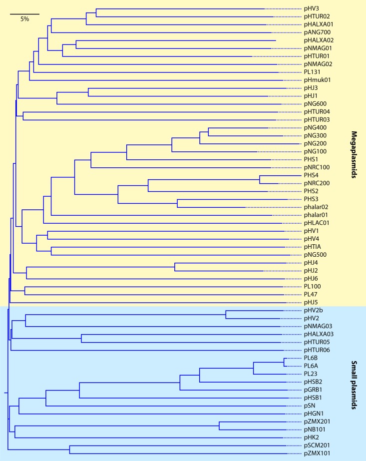 FIG 10