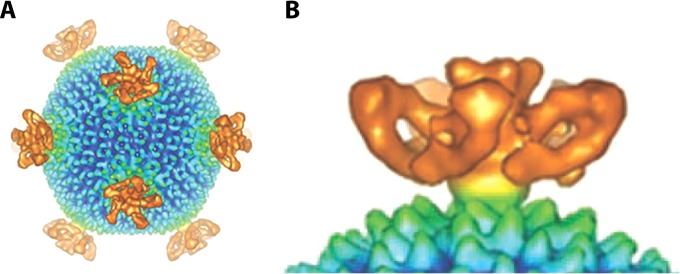 FIG 3